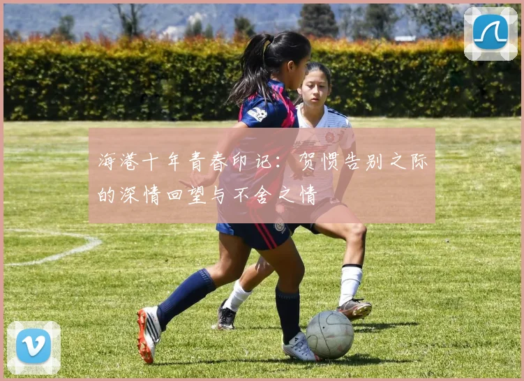 海港十年青春印记：贺惯告别之际的深情回望与不舍之情