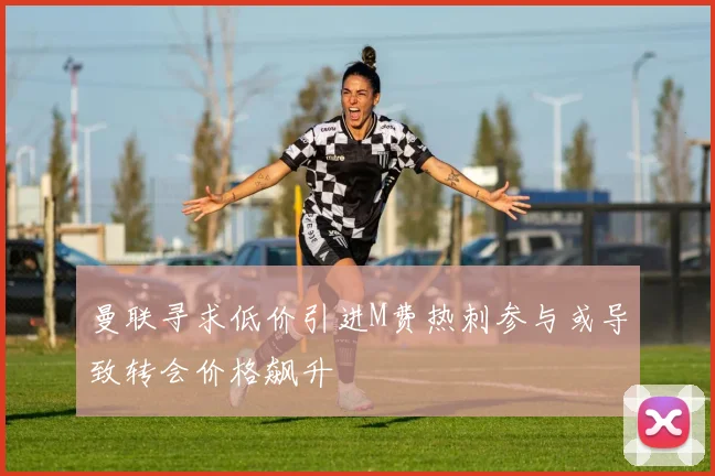 曼联寻求低价引进M费热刺参与或导致转会价格飙升